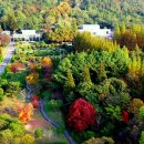 중앙산림기술 이미지