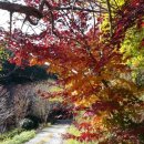 통나무집펜션 이미지