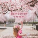 날개일본어 네이버블로그
