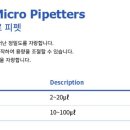 카스텍 이미지