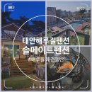 솔메이트 | 충남태안펜션 솔메이트 펜션 애견동반 해루질 체험 가능한곳