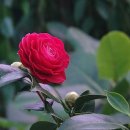 중앙동232 이미지