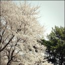 (주)한진 증평IC주유소 | [예산출렁다리] 예당호수-예당호둘레길-예당호-예산갈만한곳