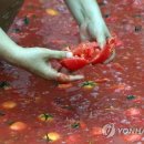 황금진연합의원 이미지