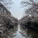 CLUB 9 | 일본 골프 이바라키현 카스미가우라컨트리클럽 이바라키 Kasumigaura Country Club Ibaraki 후기