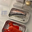 현대아빠손세차 | [2025.02-03] 겨울의 끝자락, 커리어의 전환기