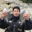 대양자원 이미지