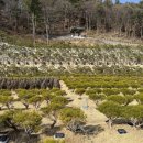 선택목장 이미지