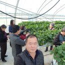 정숙농장 이미지