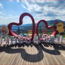 "편하게 앉아서 케이블카 타고 20분이면 도착해요" 해발 1,561m 정상 절경 힐링 명소 이미지