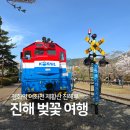 중원동로 | 진해 벚꽃 실시간 경화역 여좌천 제황산 진해루 여행 후기