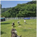 조이펜션 이미지