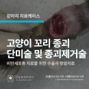 상암 진 동물의료센터 이미지