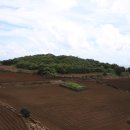 보르미네 이미지