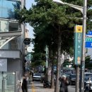 빵굼터(제과점) | [약수역빵집] 빵굼터, 주민들의 찐 맛집!