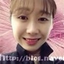 디씨티라인 네이버블로그