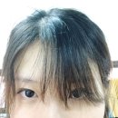 엘헤어 네이버블로그