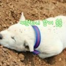 더봄 안경 이미지