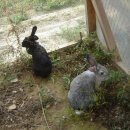 한림농장 이미지