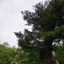 (주)애치와이 가리봉점 | 2017-06-10 설악대종주(왕포나님 공지)