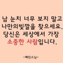 8월 31일 금요일~🌹 이미지