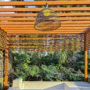 성심목장 | 주간혀니 2025년 10월 일상, 엄마랑 제주도 여행