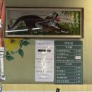 신당동 맛집 40년 토박이가 인정한 오신 돼지갈비 추천
