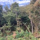 용연동마을회관 이미지