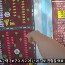 초전마을야영장 티스토리