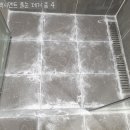 클린숲