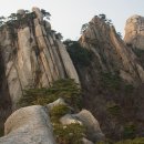 에덴동산 이미지