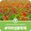 이화원 관광안내소 | [공지] 가평 자라섬 꽃페스타, 자라섬 남도 꽃축제 개화현황, 입장료 등 방문안내(2024)