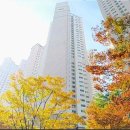 센텀신세계공인중개사사무소 | 부산시해운대구재송동아파트경매/ 더샵센텀파크1차경매 35평형 신건낙찰예상 센텀초인근 2025타경5438