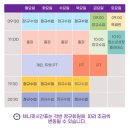 근력운동 1년 차(채니핏 특별반 후기)