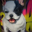 놀러오시개 이미지