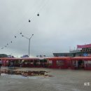 하화낭만 이미지