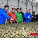 탐진농장 이미지