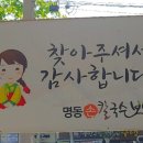 명동손칼국수보쌈