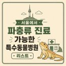 서울 파충류 진료 가능 특수동물 병원 정리 (거북이, 크레스티드게코 동물 병원)