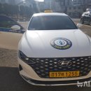 사천시 특별교통수단 이미지