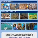오션팜 이미지