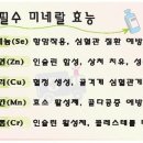 서울진마취통증의학과의원 이미지