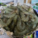 선두 | [내돈내산] 인천 강화 선두수산 새우양식장 새우 포장 솔직 후기!