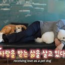 김건희농장 한국경제