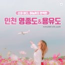 영종도·용유도 Daum카페