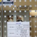 요가A | 김혜정 산후조리원 수성점 특실 13박 14일 솔직후기/모유수유 후기 등/잘쓴템 추천