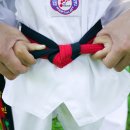 대화키즈태권도 이미지