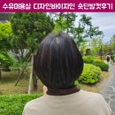 수유미용실 숏단발컷 디자인바이지인 여름디자이너님 추천 후기