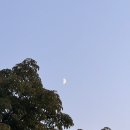 마로니에 | [나의 일상] 2025 마로니에 여성 백일장 참가 후기 _ 문학의 전성시대는 지금!