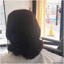 캐슬앤제이펫살롱 | 오창롯데캐슬미용실 후기 라나앤살롱 믿고 가는 곳